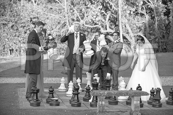 Reynolds wed_450
