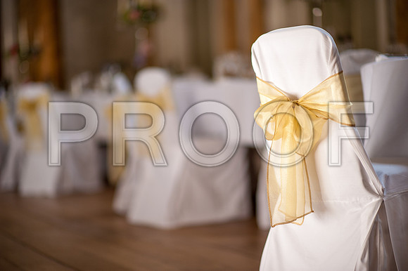 Ring wed_494
