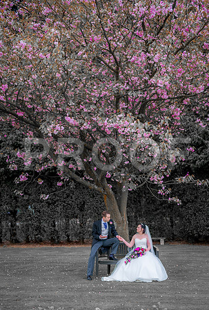 Reynolds wed_295