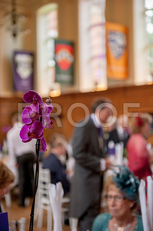 Bailey wed_418
