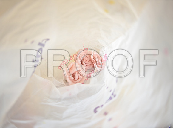 Stygall wed_024