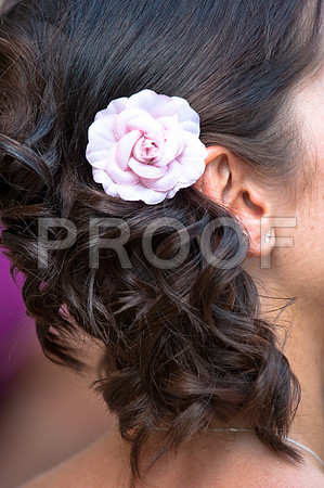 Stygall wed_487