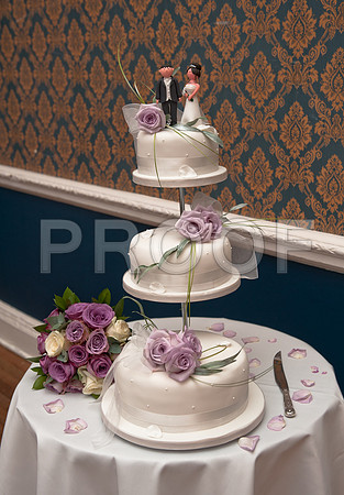 Stygall wed_457