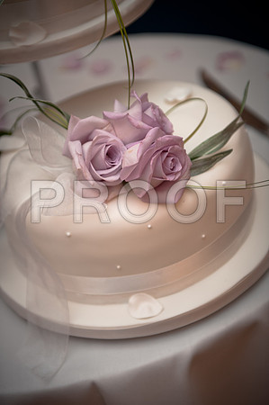 Stygall wed_461