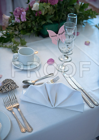 Stygall wed_482