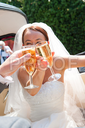 Stygall wed_338