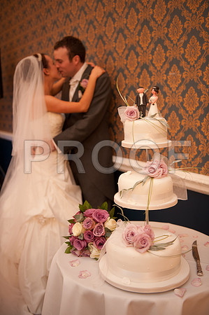 Stygall wed_468