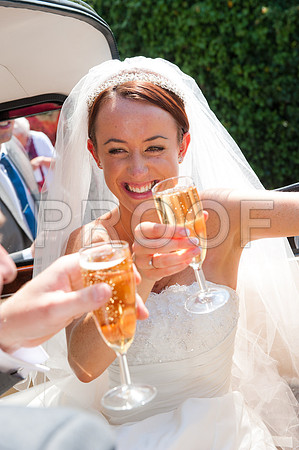 Stygall wed_339