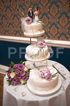 Stygall wed_462
