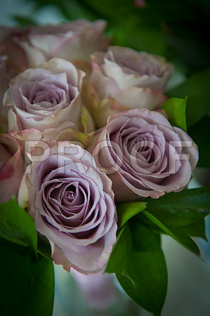 Stygall wed_097