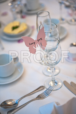 Stygall wed_475