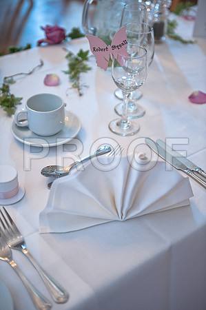 Stygall wed_481