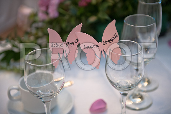 Stygall wed_479