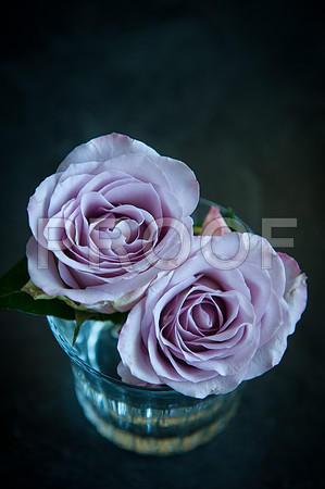 Stygall wed_099