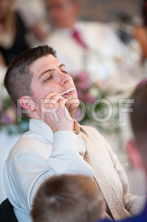 Stygall wed_552