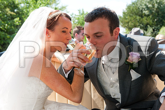 Stygall wed_340