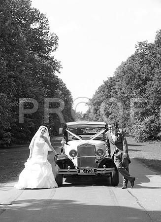 Stygall wed_347