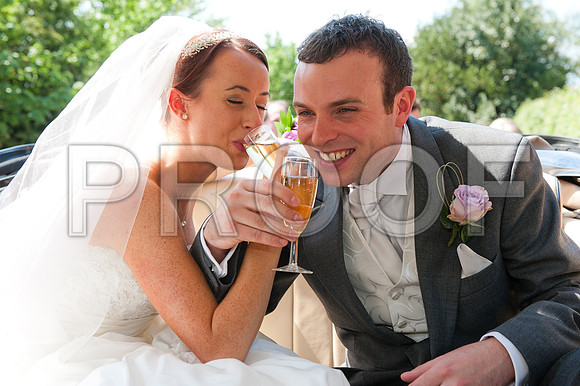 Stygall wed_343