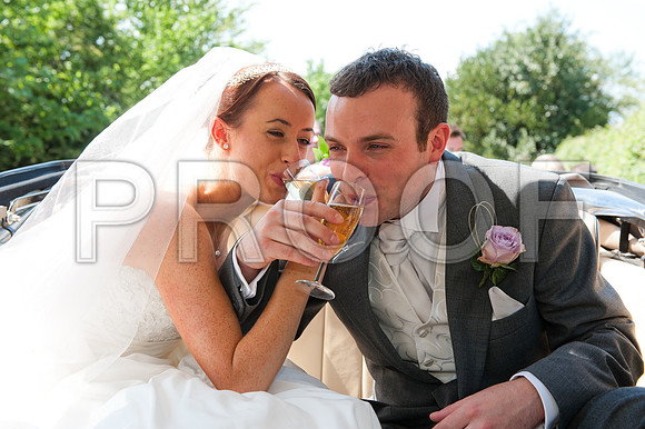 Stygall wed_344