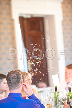 Stygall wed_558