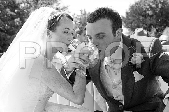 Stygall wed_340-2